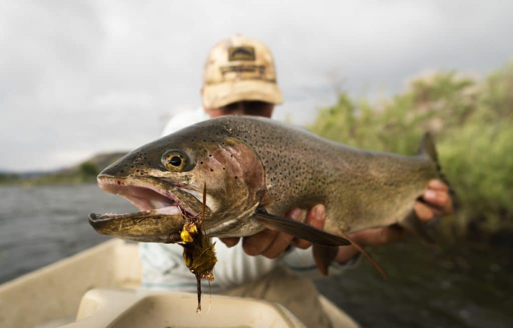 A beginner’s guide to flyfishing in Colorado’s Rocky Mountains